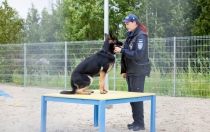 Tallinn animal shelter