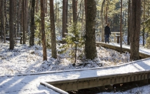 Kõrvemaa National park
