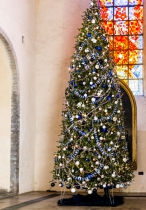 Niguliste and christmas tree